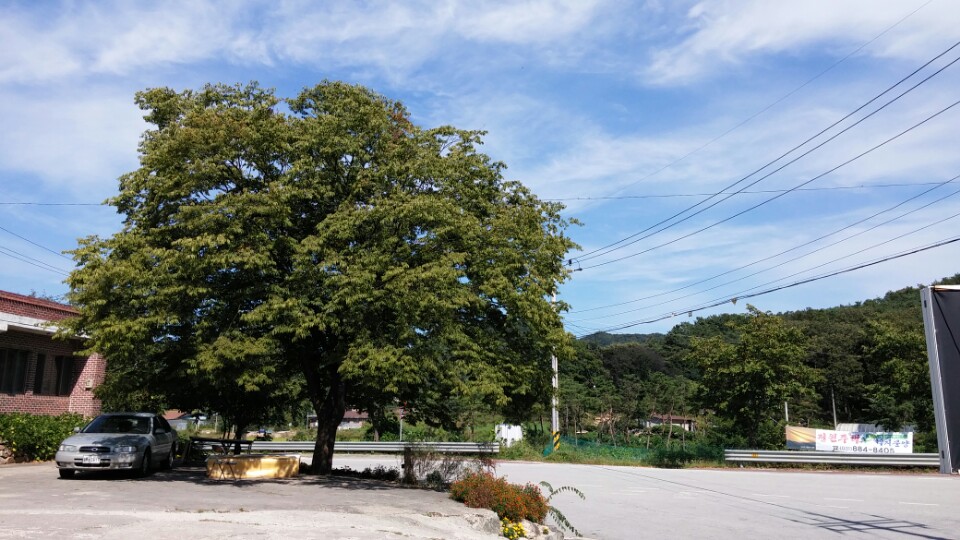 KakaoTalk_20150921_101549937